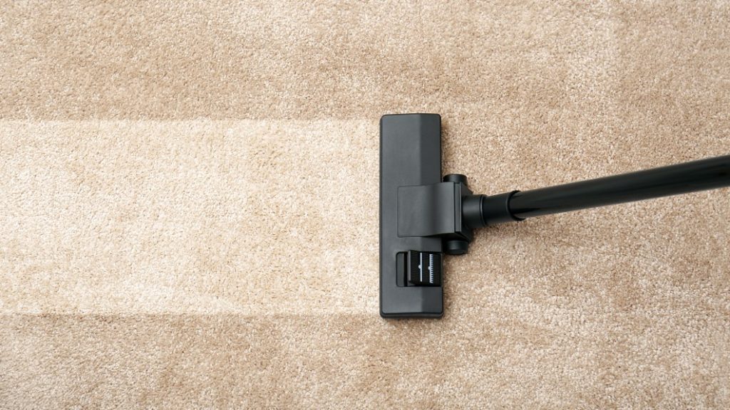 The Best Carpet Cleaner In 2024